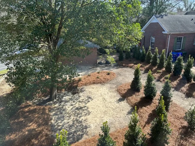 Meditation Garden Construction Enters Phase 2