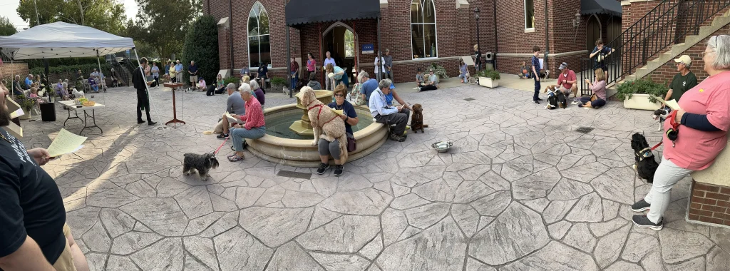 Photo Album from the Blessing of Animals